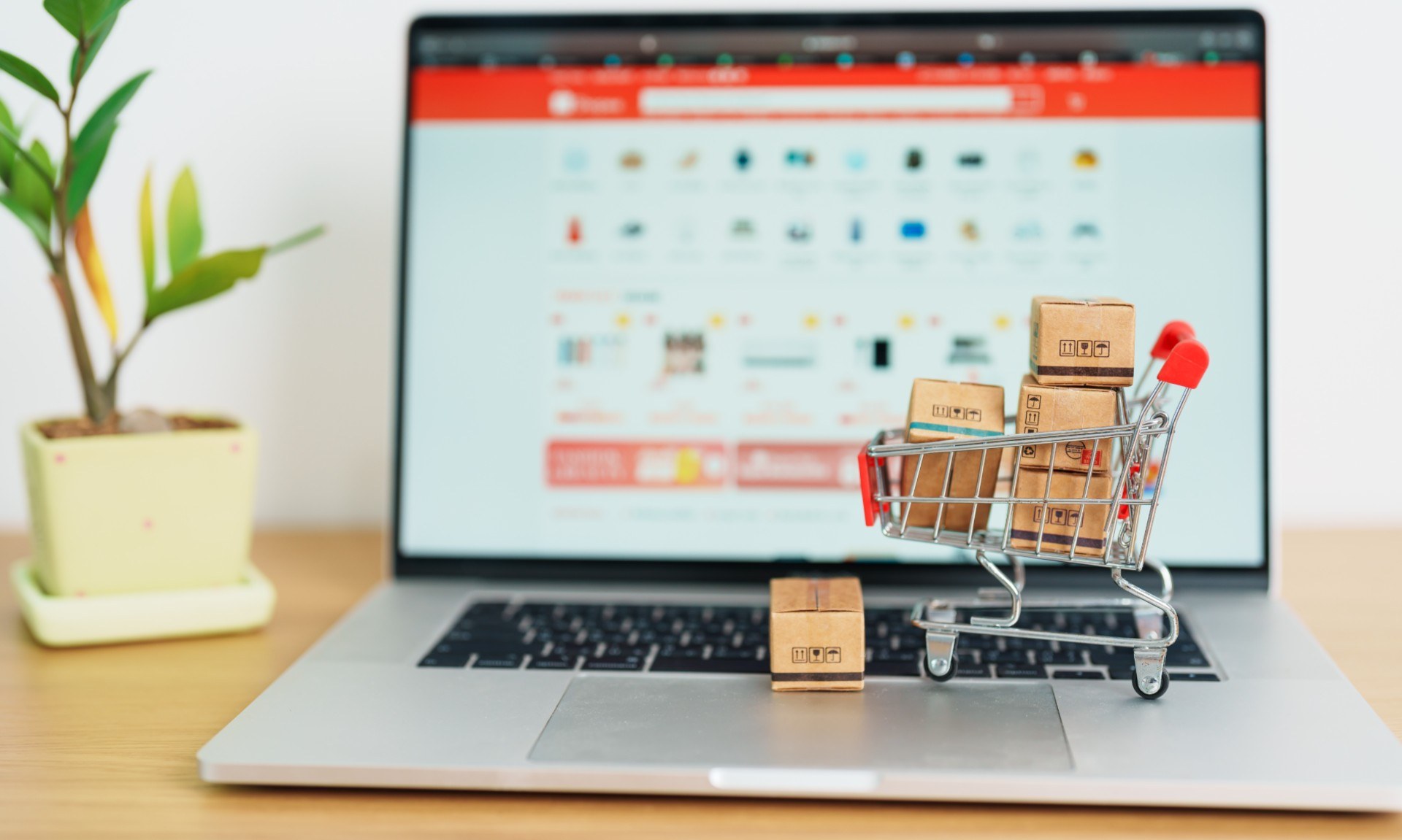 E-Commerce Website Setup