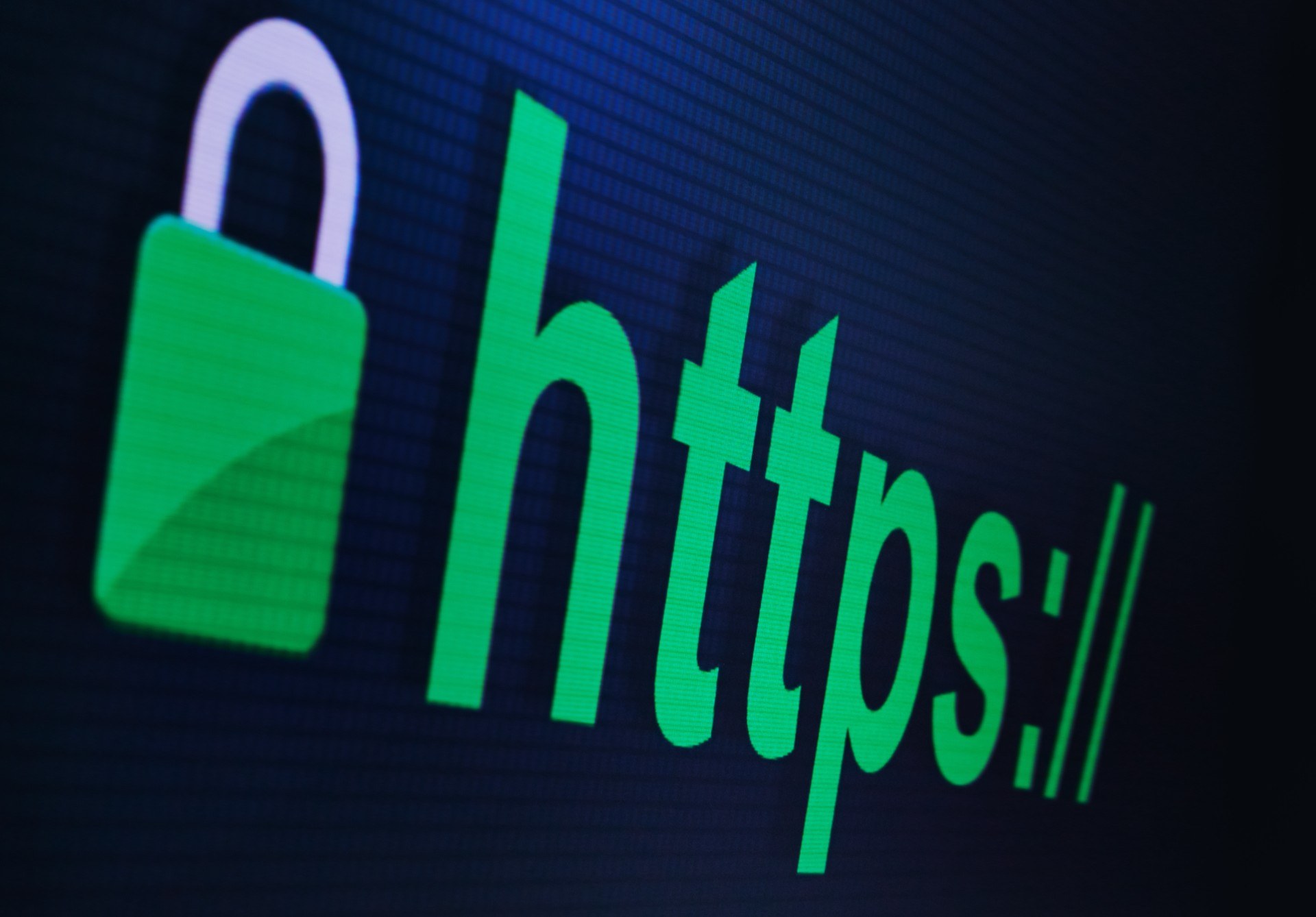 Web Security and SSL Certificate Setup